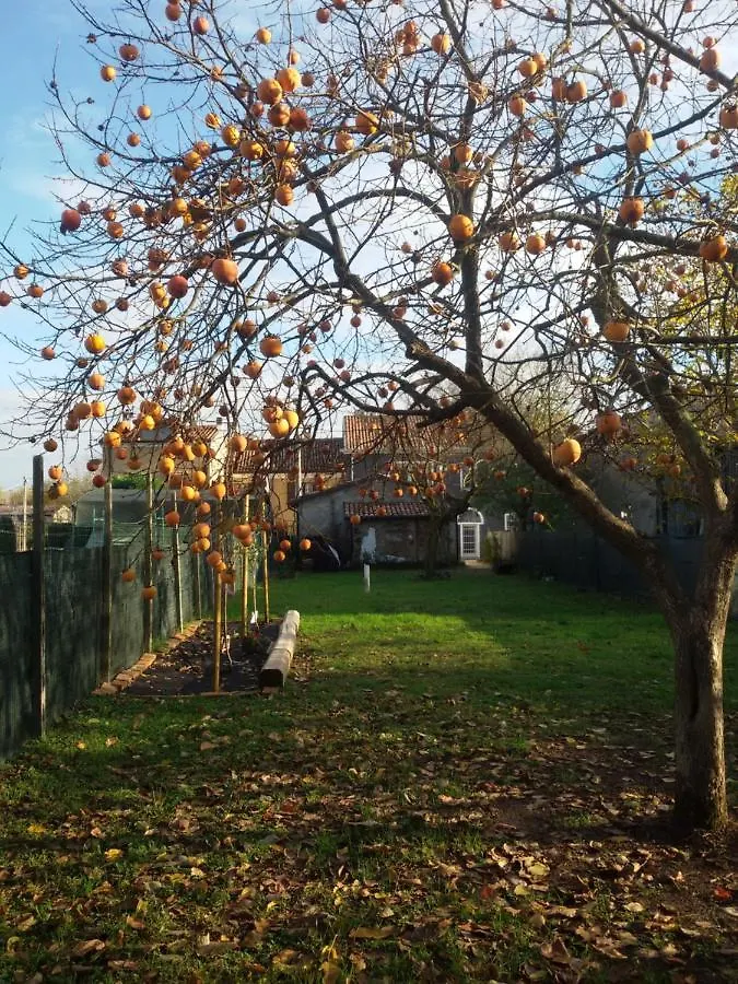 Zucchero Sui Baffi- Food Lovers B&B Mantova