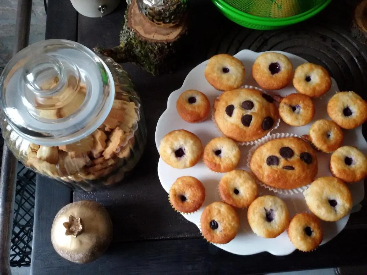 Zucchero Sui Baffi- Food Lovers B&B Mantova Bed & Breakfast